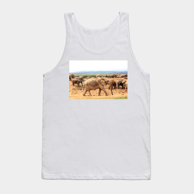 African Wildlife Photography Elephant Cameo Tank Top by PathblazerStudios